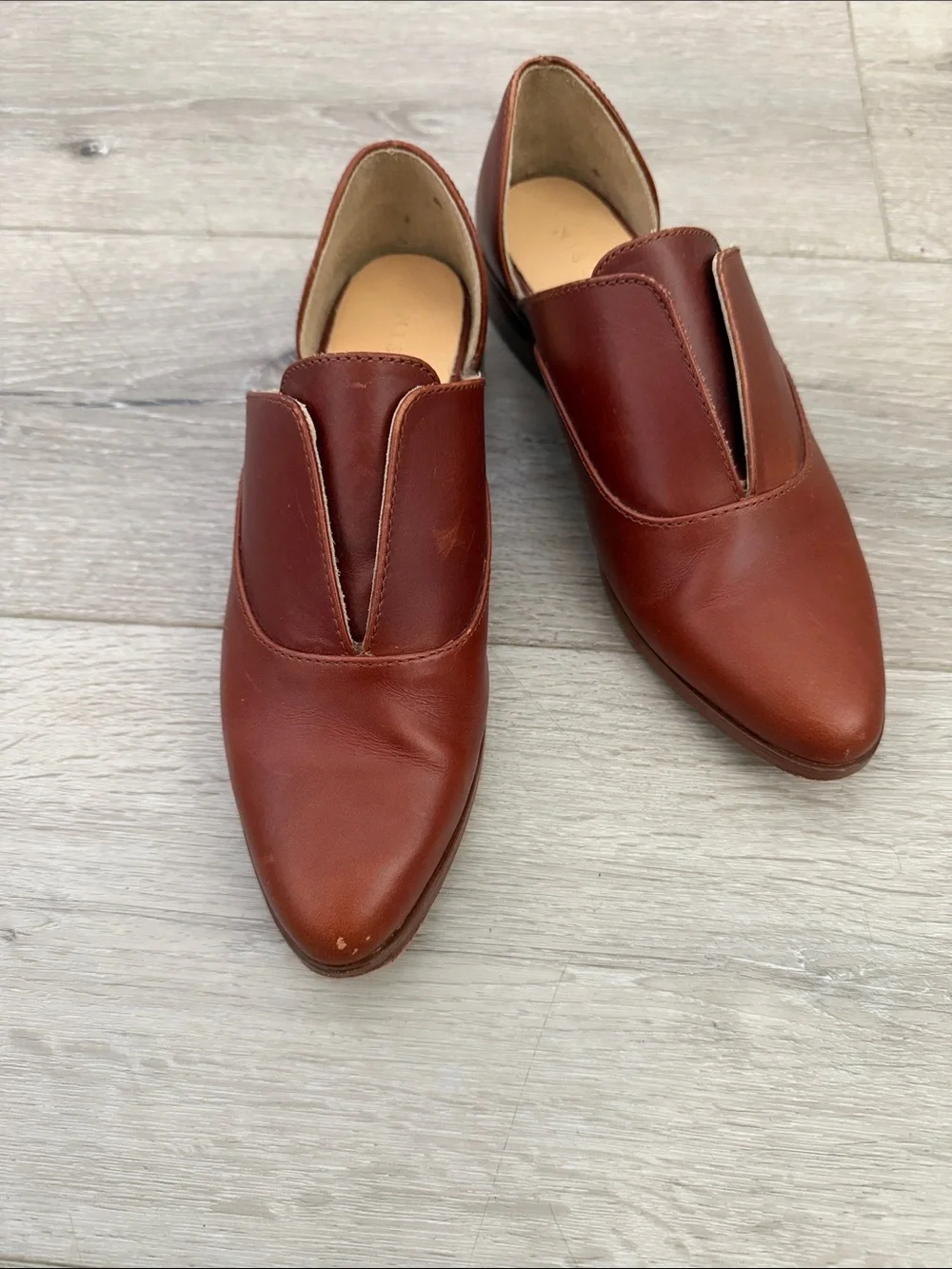 Nisolo chestnut brown
